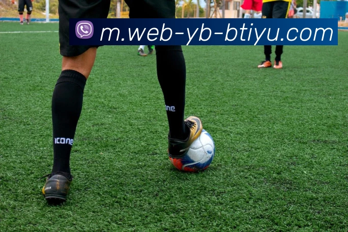 B体育APP 封面图